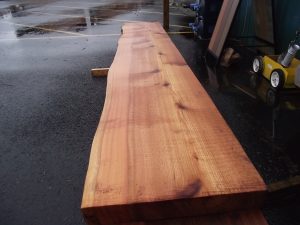 Cedar Live Edge Slabs - Image 4
