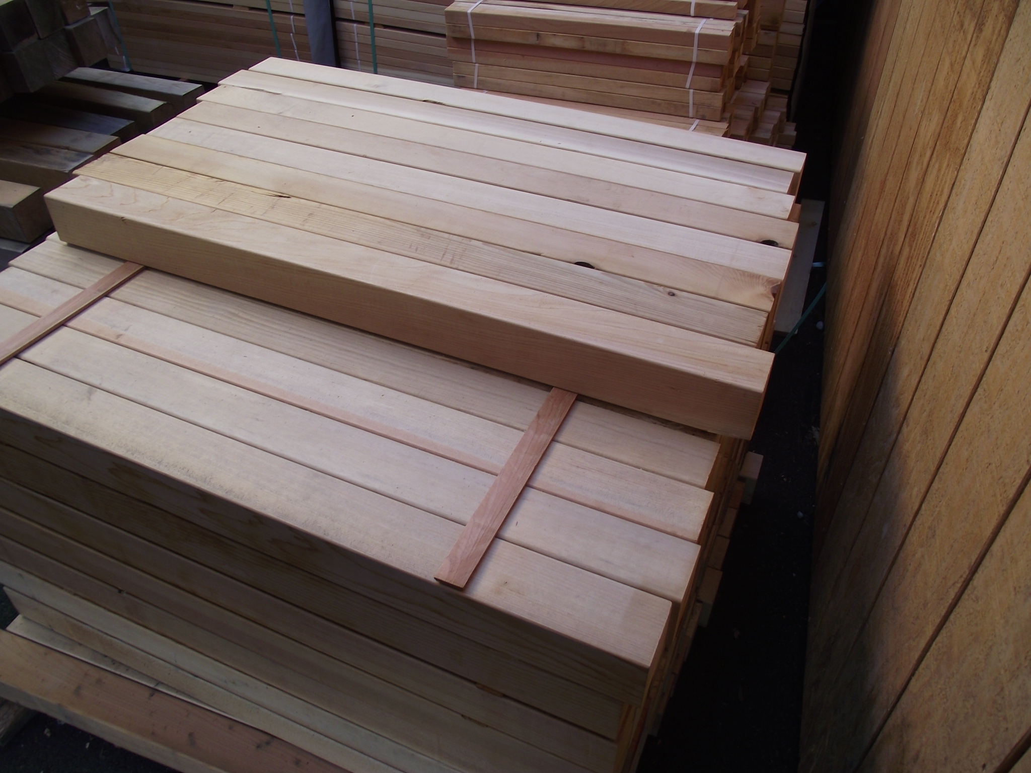 DSCF08961.jpg