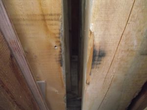 Rough Alaskan yellow cedar cants