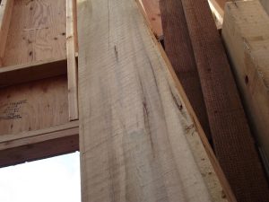 Rough Alaskan yellow cedar cants - Image 3