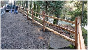 Split Rail Standard Weight plain post