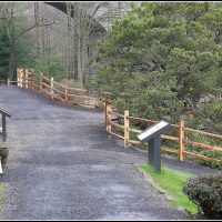Split Rail Standard Weight 8' rails